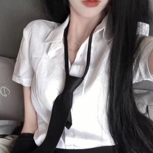 完美伴侣